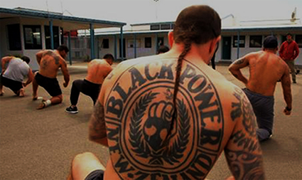 al jazeera new-zealand jail 425wide